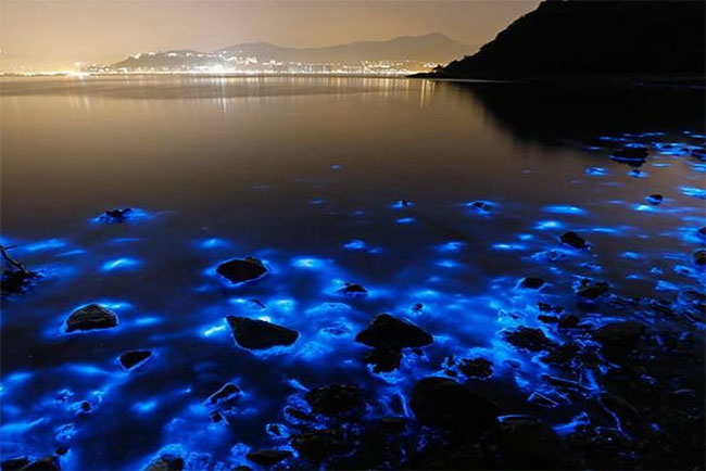 lagoon__04856_zoom